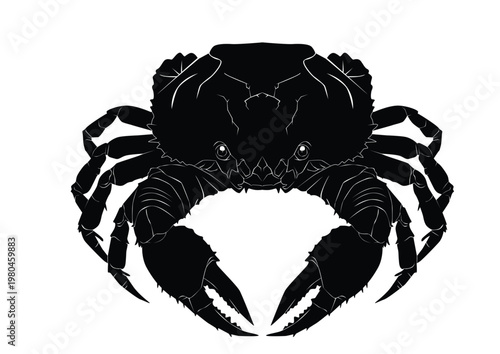 crab silhouette4