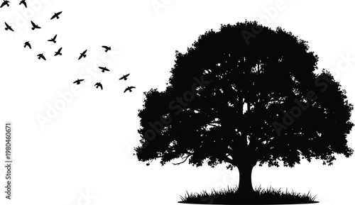 Silhouetted tree with flying birds a peaceful natural scene