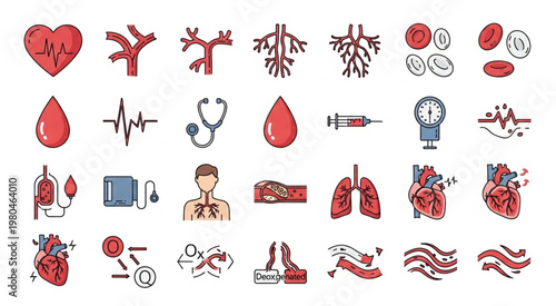 Medical illustrations showcasing the human circulatory system and related medical elements.