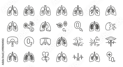 Detailed illustration of human lungs and respiratory system in various states.