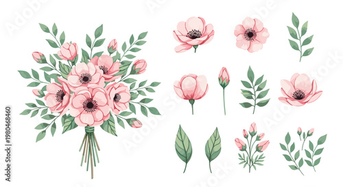 Beautiful pink anemone flowers in a large bouquet and as separate individual elements for creative floral designs.