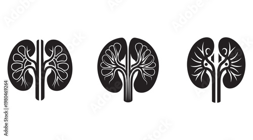 Kidney anatomy icons set with different views of human organ  medical illustration