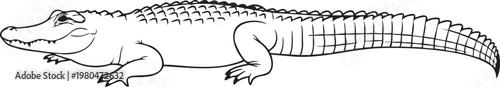 A detailed illustration of a crocodile resting on a flat surface