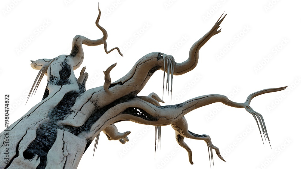 Naklejka premium old tree