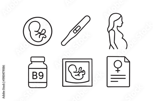 Pregnancy related icons depicting fetal development tests and maternal health concepts high quality professional detailed modern