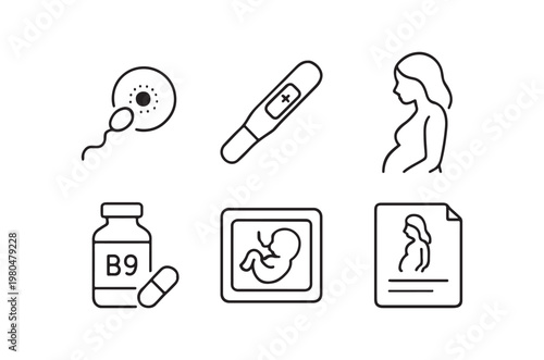 Pregnancy related icons depicting fertilization testing prenatal care and fetal development high quality professional detailed modern