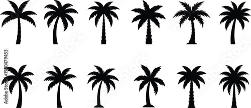 Collection of diverse palm tree silhouette icons representing tropical and beach environments with coconut tree, web icon