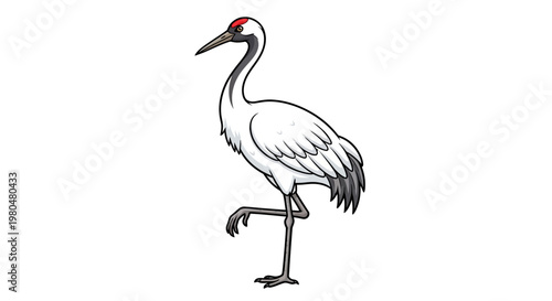 White Bird Standing on One Leg.