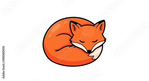 Sleeping Orange Fox Curled Up.