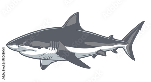 Gray shark swimming in ocean water.