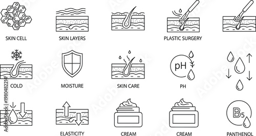 Skin care dermatology outline icon set illustrating skin cells layers moisture elasticity cream treatment and cosmetic skincare science