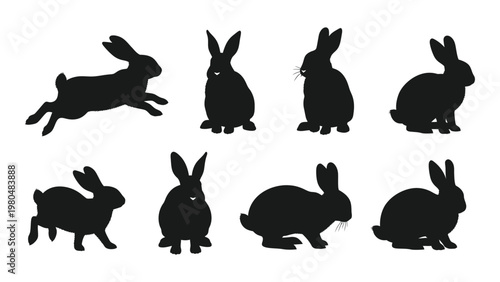 Silhouette collection of rabbits in various poses against a white background
