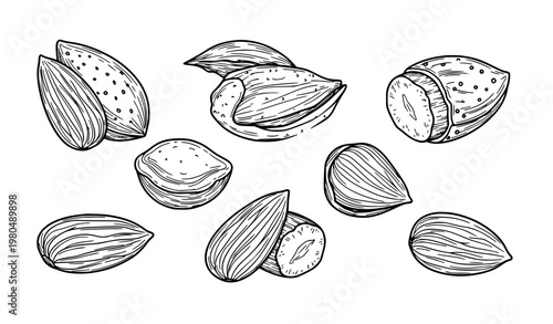 SEO Title:
Almond Nut Line Art Vector Set Organic Food Outline Icons Collection