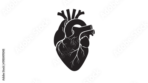 Human heart icon with medical arteries and bronchi shapes, vintage anatomical illustration for healthcare and biology designs