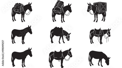 Donkeys silhouette set with pack saddle cargo box grazing standing and working mule poses in black isolated icons