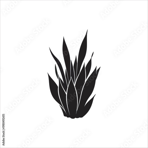 black and white flowers