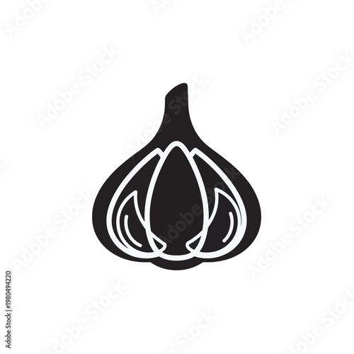 Isolated onion vector illustration on white background