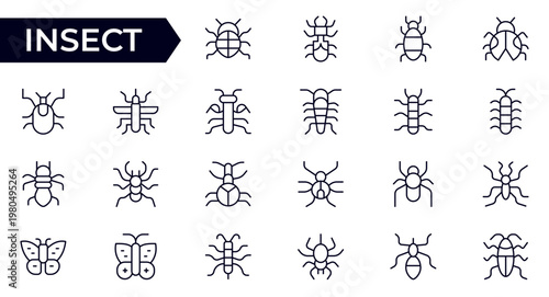 Insect and Bug Line Icon Set for Nature, Entomology, Wildlife, Garden Pests, Butterflies, Bees and Crawling Creatures Outline Vector Collection