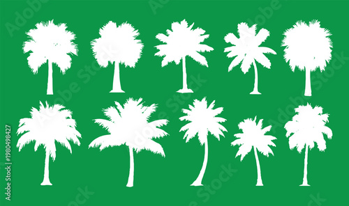 A collection of various white palm tree silhouettes representing tropical nature, summer vacations, and exotic botanical elements isolated on a green background.