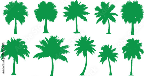A collection of various green palm tree silhouettes representing tropical nature, summer vacations, and exotic botanical elements.