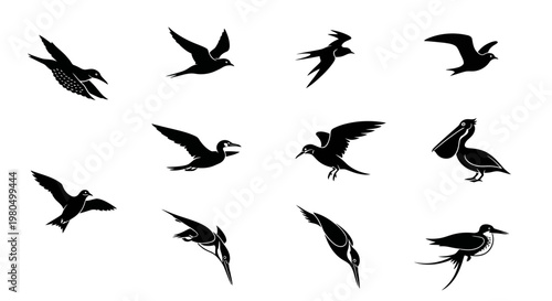 Set of various flying bird and waterbird silhouettes