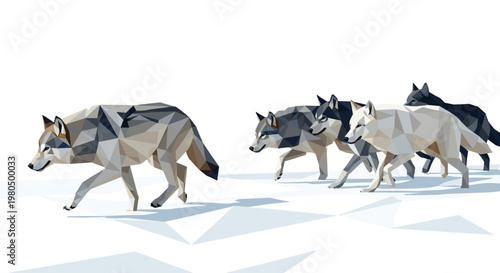 Gray wolf pack running together.