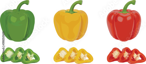 Vibrant set of green yellow and red bell pepper vector illustrations with fresh organic vegetable slices isolated on white background for healthy food design