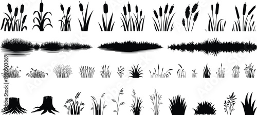 Plant silhouettes, grass patches, cattails reeds, tree stumps, wetland vegetation, meadow plants, forest nature, black illustration, landscape design, environmental art