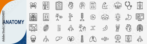 Anatomy icons set, thin line vector icons for human body organs