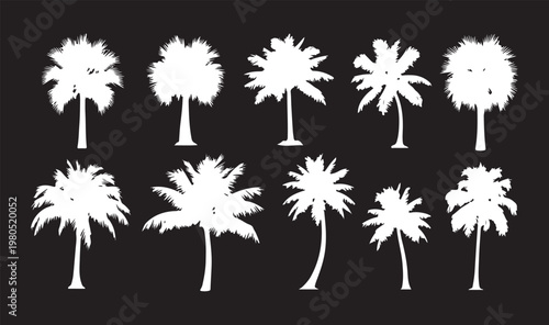 A collection of white palm tree silhouettes and tropical plant shapes isolated on a black background for summer and vacation designs.