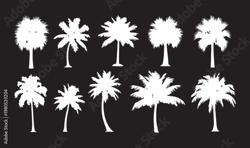 A collection of white palm tree silhouettes and tropical plant shapes isolated on a black background for summer and vacation designs.