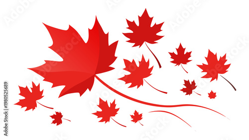 Quadro su tela Delicate red maple leaves with pointed lobes and serrated edges