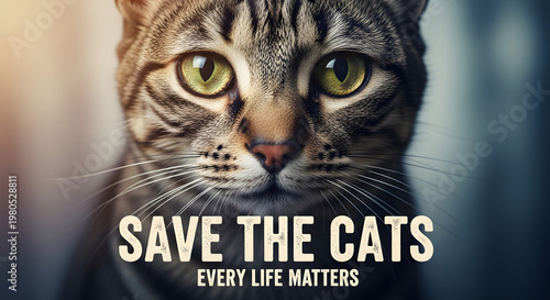 The Call for Compassion: An eye-catching graphic, spotlighting a cat to stir empathy. The words SAVE THE CATS and EVERY LIFE MATTERS underscore a message of profound importance and compassion.