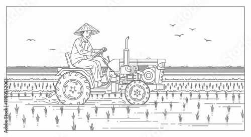 Asian Farmer Driving Tractor in Rice Field Illustration Vector Design Element for Coloring Book