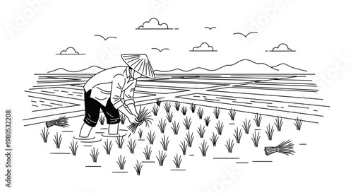 Traditional Asian Farmer Planting Rice in Paddy Field Vector Illustration