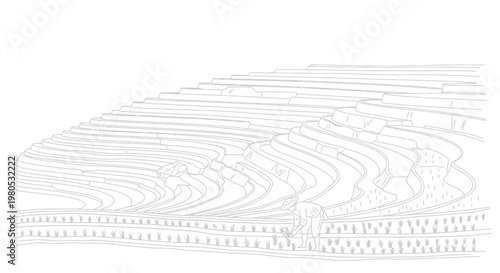 Traditional Rice Terrace Field Illustration with Worker Planting Crops Vector Design