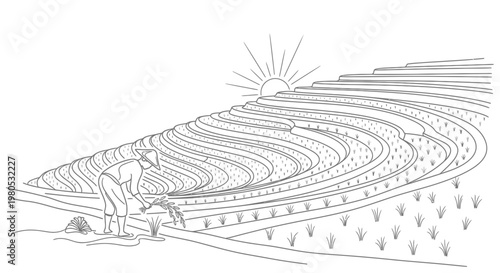 Asian Rice Paddy Terraces Landscape with Traditional Farmer and Sunrise Vector Illustration