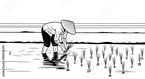 Traditional Asian Farmer Planting Rice Seedlings in Water Paddy Field Minimalist Vector Illustration