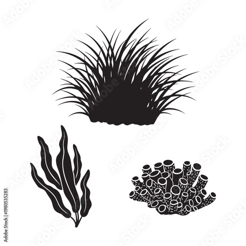 Sea flora icons with beach grass seaweed and ocean coral