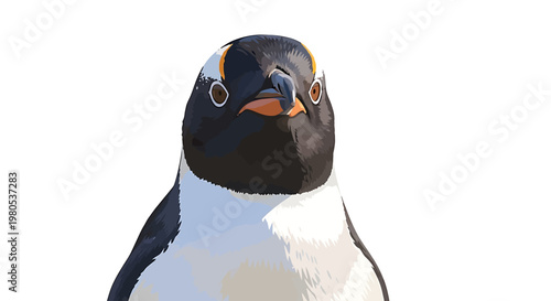 Vibrant close-up portrait of a curious penguin, showcasing its striking black, white, and orange plumage. The bird looks directly at the viewer, isolated against a clean white background