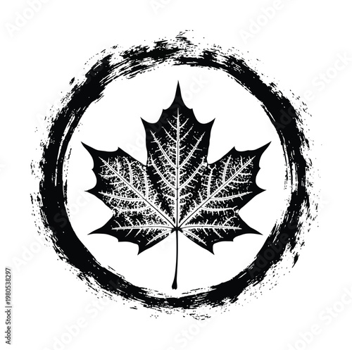 Vector of a maple leaf enclosed in a grunge brush stroke circle