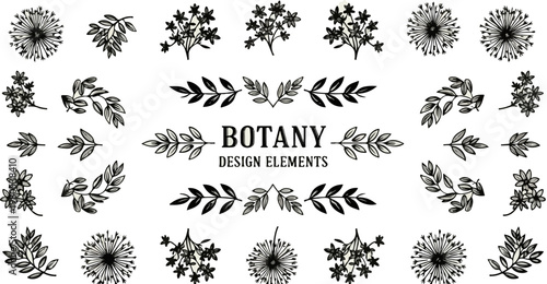 Vintage botany design elements, hand drawn floral vector set, black ink botanical illustrations of flowers and leaves for wedding invitations