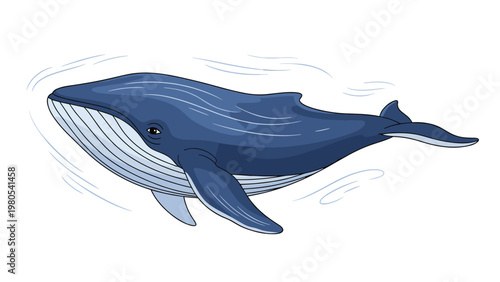 Majestic blue whale swimming gracefully through the water depicted in a clean hand-drawn illustration style.
