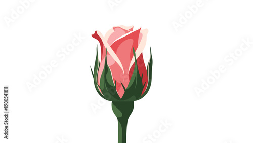 Simple botanical illustration of a single pink rosebud with green sepals and stem isolated on a white background.