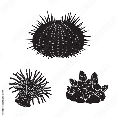 Marine organism silhouettes with sea urchin and anemone
