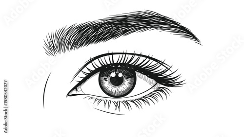 Detailed black and white engraving of a realistic human eye with long lashes and a thick eyebrow offers a striking artistic focal point.