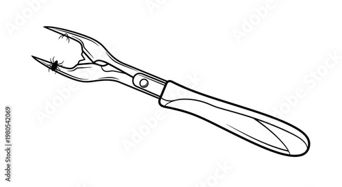 Metal Kitchen Whisk Tool Isolated on White Background