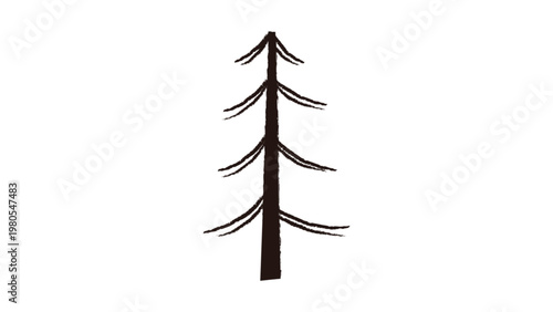 Minimalist Hand Drawn Pine Tree Sketch Isolated on White