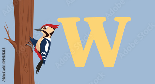 Educational illustration of a woodpecker bird perched on a tree trunk next to a large capital letter W for alphabet learning.
