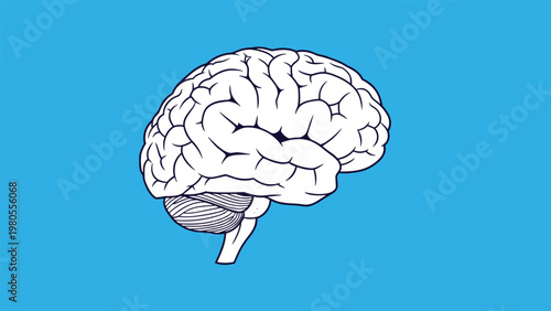 Stylized white line drawing shows the anatomy of a human brain centered on a solid bright blue background for a medical or science look.